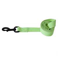 Aspen Pet Dog Lead Glow In The Dark Green Large Pet: Dog Category: Dog Supplies  Size: 0.2kg Colour:...