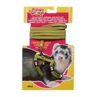 Living World Ferret Harness Lead Set Green Each Pet: Small Pet Category: Small Animal Supplies  Size:...