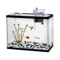Classica Aquarium Starter Kit 21L Pet: Fish Category: Fish Supplies  Size: 6.4kg Material: Glass 
Rich...