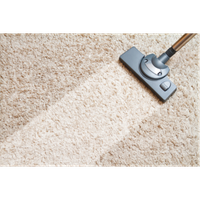 Carpet/ Furniture Clean,Gutters, Flue, Rubbish, Window