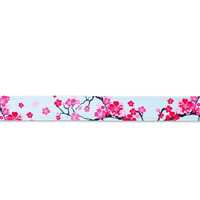 Max & Molly Smart ID Cat Collar - Cherry Bloom