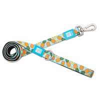 Max & Molly Dog Leash - Sweet Pineapple - Small