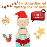 Lucky Pet Christmas Mystery Box of Treats and Toys for Cats & Kittens