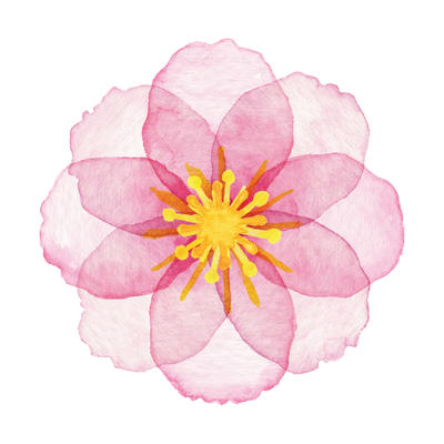 GRANT, Elizabeth Ann 'Liz'