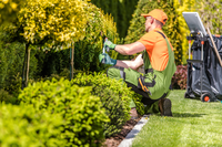  Garden Design &amp; Landscaping Services Renovations and Makeovers, Replants, Maintenance Plant...