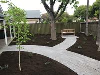 Landscape design construction all paving and irrigation works new lawns plant selection and trenching...
