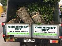 Tree, Stump &amp; Hedge RemovalHedge Shaping &amp; TrimmingMulching &amp; CleanupsFully Insured'For a...