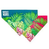 Max & Molly Bandana for Cats & Dogs - Tropical - Large