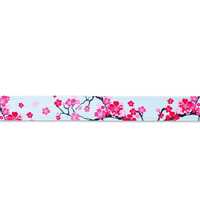 Max & Molly Bandana for Cats & Dogs - Cherry Bloom - Large