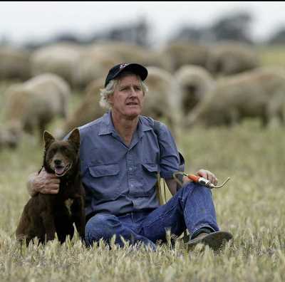 STILLARD, David Ross