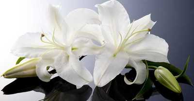 PURVEY, Patricia (Pat)