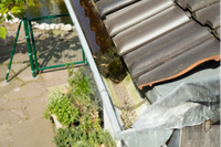 HIGH PRESSURE CLEANING SERVICE• Gutter Cleaning• Home Maintenance• Rubbish Removal• Gardening• Fully...