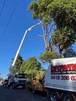 Browns Complete Tree Removal provide professional tree services to residential and commercial customers...