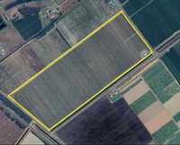 This property is situated just minutes from the centre of Bundaberg.- Area under trees 46 Ha- Fully...