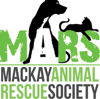 MACKAY ANIMAL RESCUE SOCIETY INCAGM- to be held Sunday 10 November 2024, 2pm at 2 Meadowlands Road.