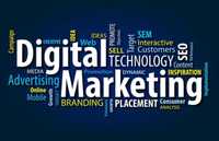 Our expert Digital Marketing team offers top-quality services tailored to your business needs. The...