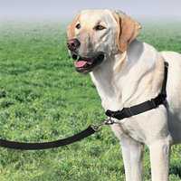 Petsafe Easy Walk Front-Attachment No-Pull Dog Harness - Medium