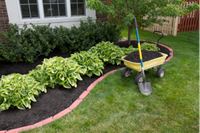 Restore overgrown gardensLand &amp; yard clearingTrimmingWeedingRetaining wall / PavingTurf LayingTree...