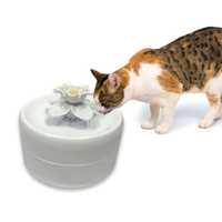 Pioneer Pet Magnolia Petal Fresh Water Pet Drinking Fountain 1.6 Litres