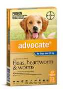 Advocate Spot-On Flea & Worm Control for Dogs over 25kg - 3 Pack