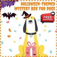 Surprise Mystery Box for Small Dogs - Halloween Themed