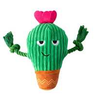 Fringe Studio You Grow Chica! Cactus Plush Dog Toy