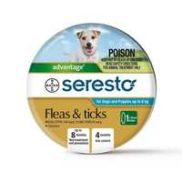 Seresto Flea & Tick Collar (lasts up to 8 months) - Dogs Under 8kg