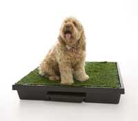 The Original Pet Loo for Indoor or Outdoor Use - Medium