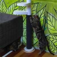 Monkee Tree Scratch Patch Wrap-Around Accessory for the Monkee Tree Cat Climber