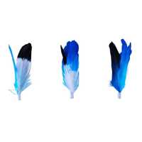 Pidan Cat Teaser Add-on Accessories Trio of Feathers (A2)