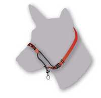 Black Dog Training Head Halter with Chin Clip - Medium - Red