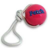 Planet Dog Orbee Tuff Fetch Ball Tough Dog Toy with Rope - Pink