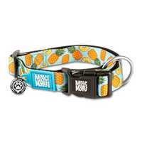 Max & Molly Smart ID Dog Collar - Sweet Pineapple - Large