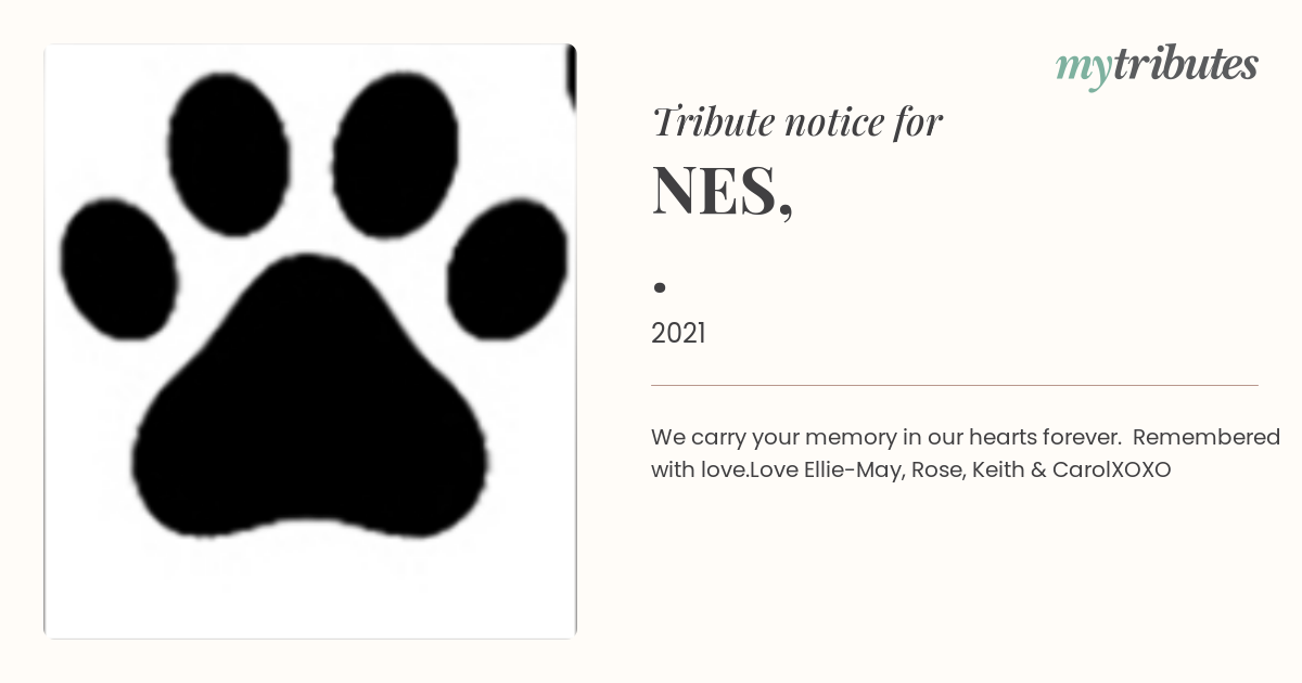 notice opengraph image