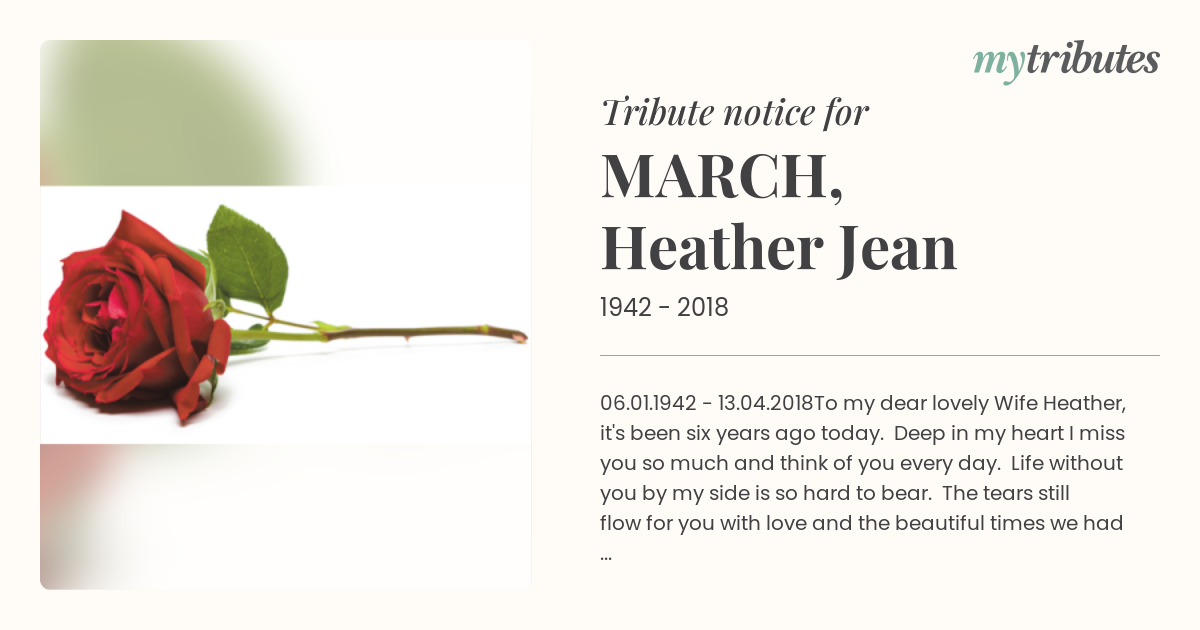 notice opengraph image