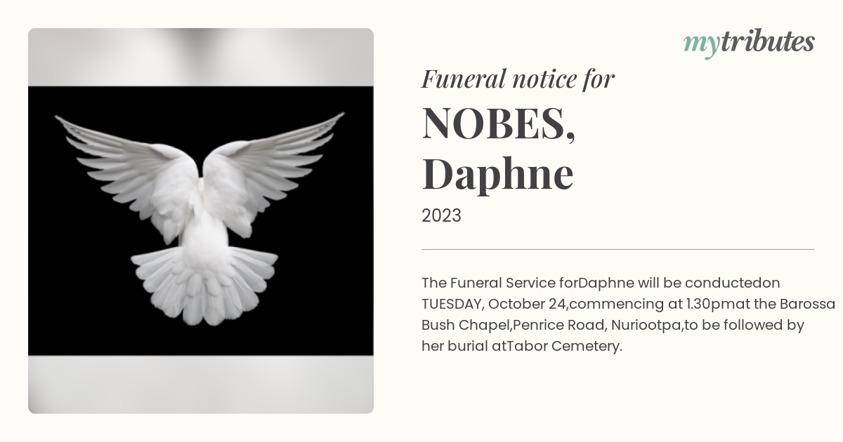notice opengraph image