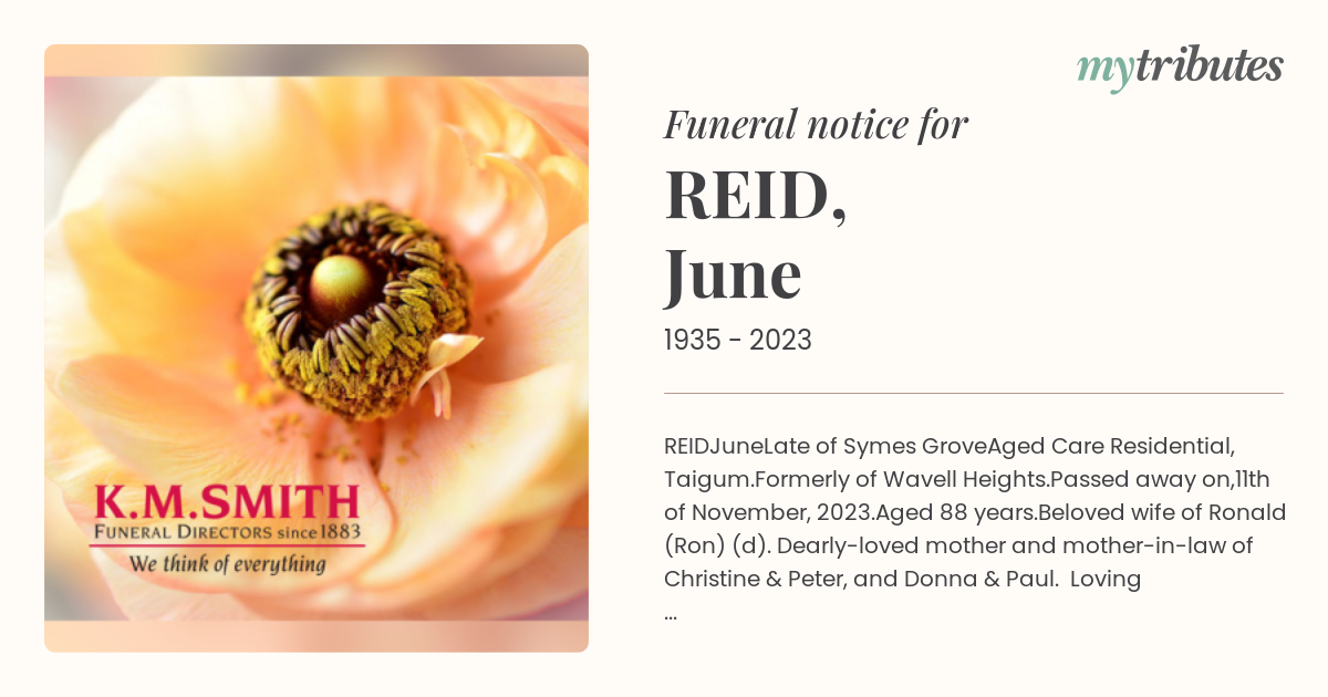 notice opengraph image