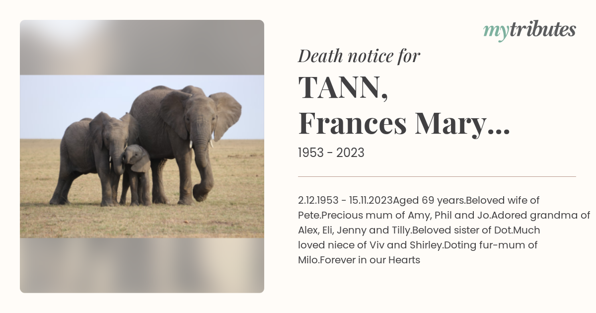 notice opengraph image