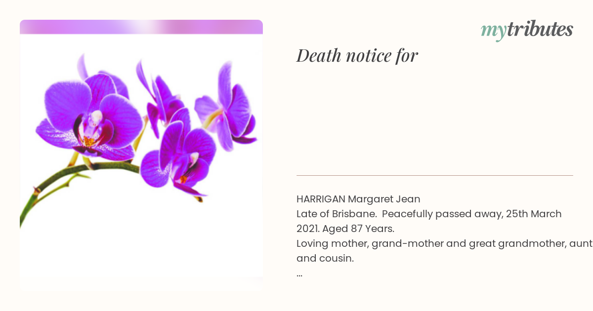notice opengraph image