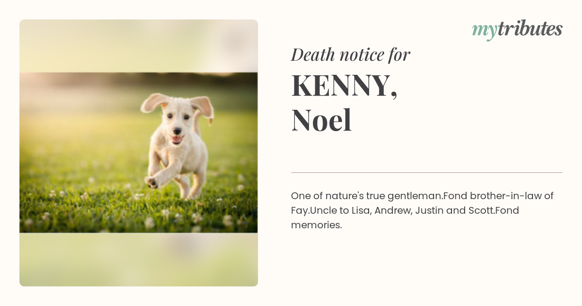 notice opengraph image
