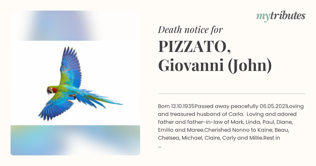 notice opengraph image