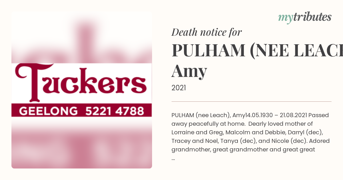 notice opengraph image