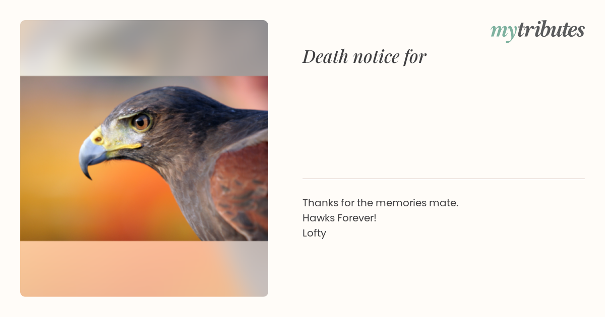 notice opengraph image