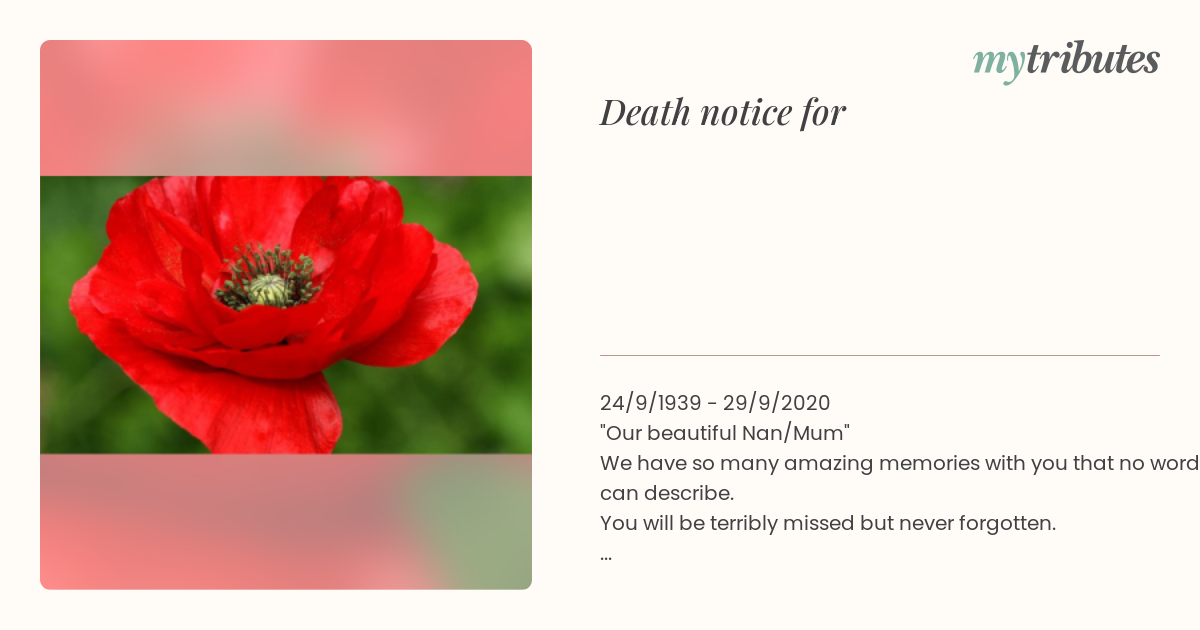 notice opengraph image