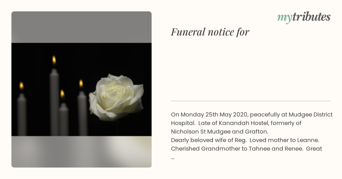 notice opengraph image