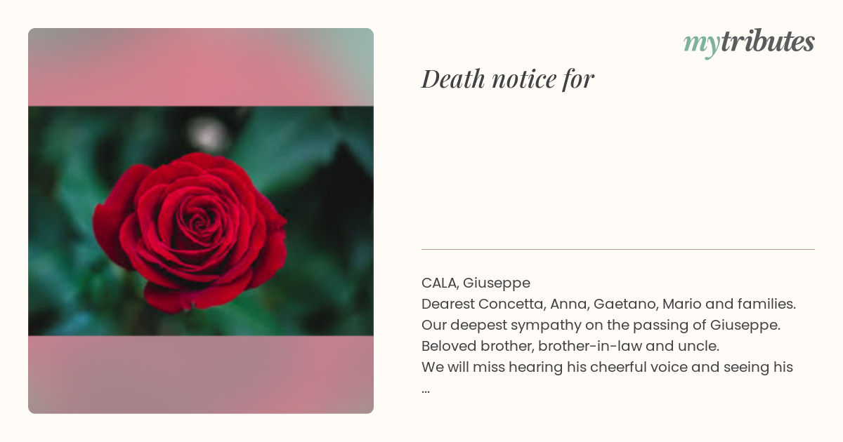 notice opengraph image