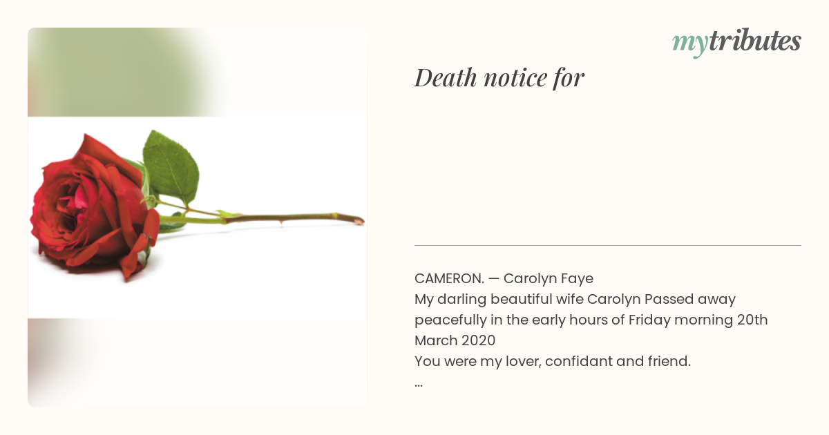notice opengraph image