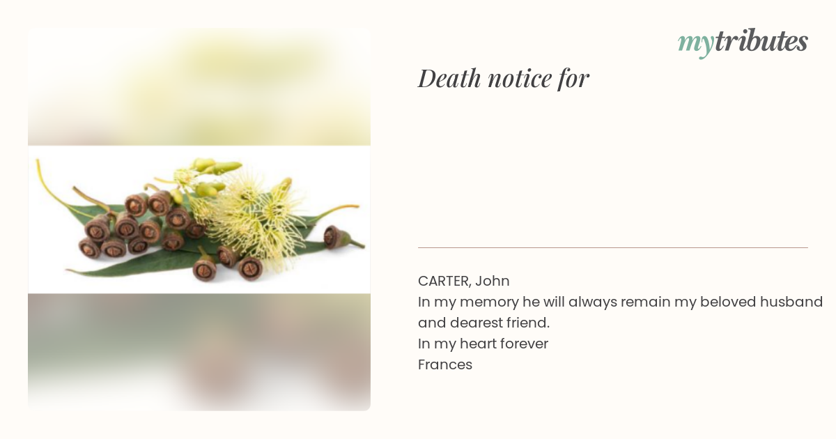 notice opengraph image