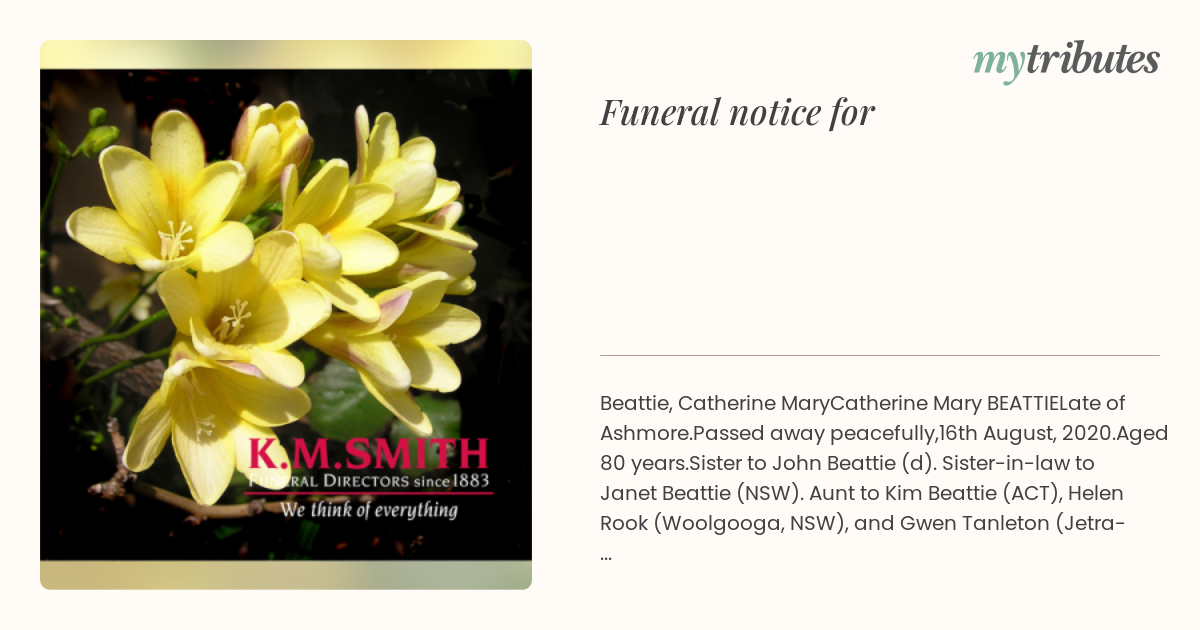 notice opengraph image