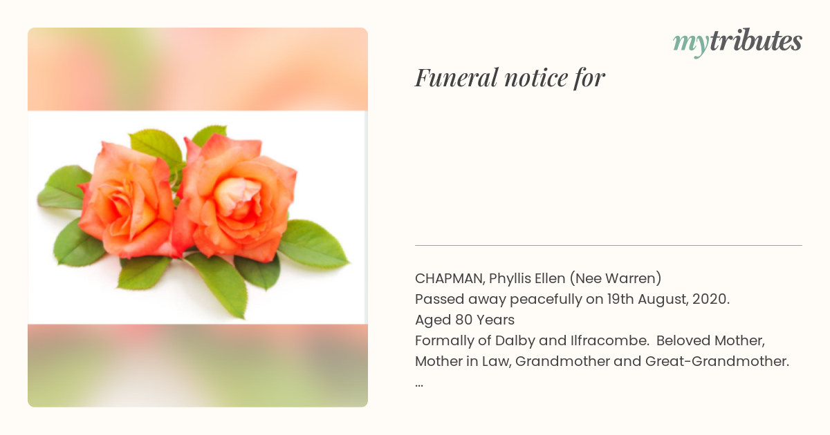 notice opengraph image